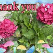 ヒメ日記 2025/06/16 20:37 投稿 南 セクシーキャット 小田原店