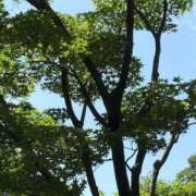 ヒメ日記 2025/06/23 07:35 投稿 南 セクシーキャット 小田原店