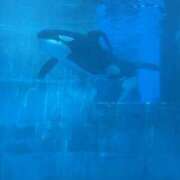 ヒメ日記 2025/07/13 08:17 投稿 南 セクシーキャット 小田原店