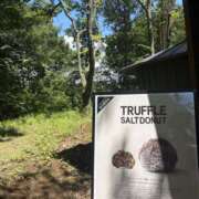 ヒメ日記 2025/08/09 16:46 投稿 南 セクシーキャット 小田原店