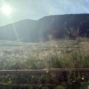 ヒメ日記 2025/09/27 07:54 投稿 南 セクシーキャット 小田原店