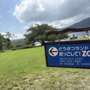 ヒメ日記 2025/10/01 14:21 投稿 南 セクシーキャット 小田原店