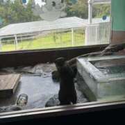 ヒメ日記 2025/10/12 07:35 投稿 南 セクシーキャット 小田原店