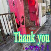 ヒメ日記 2025/11/03 23:14 投稿 南 セクシーキャット 小田原店