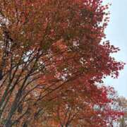 ヒメ日記 2025/11/13 23:04 投稿 南 セクシーキャット 小田原店