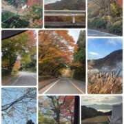 ヒメ日記 2025/11/19 16:02 投稿 南 セクシーキャット 小田原店