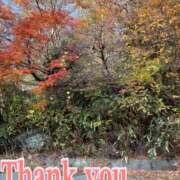 ヒメ日記 2025/11/23 21:23 投稿 南 セクシーキャット 小田原店