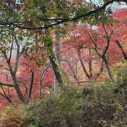 ヒメ日記 2025/11/24 22:09 投稿 南 セクシーキャット 小田原店