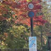 ヒメ日記 2025/11/29 08:19 投稿 南 セクシーキャット 小田原店