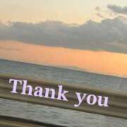 南 今日のお礼 セクシーキャット 小田原店