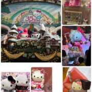 ヒメ日記 2025/12/11 18:42 投稿 南 セクシーキャット 小田原店