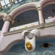 ヒメ日記 2025/12/21 08:28 投稿 南 セクシーキャット 小田原店