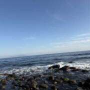 ヒメ日記 2026/01/25 15:00 投稿 南 セクシーキャット 小田原店