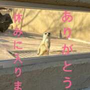 ヒメ日記 2026/01/30 07:38 投稿 南 セクシーキャット 小田原店