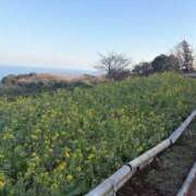 ヒメ日記 2026/02/14 08:40 投稿 南 セクシーキャット 小田原店