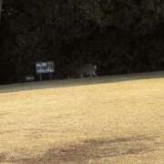 ヒメ日記 2026/02/22 13:37 投稿 南 セクシーキャット 小田原店