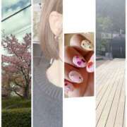 ヒメ日記 2026/03/07 14:20 投稿 南 セクシーキャット 小田原店