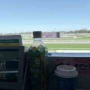 ヒメ日記 2026/03/16 16:50 投稿 南 セクシーキャット 小田原店