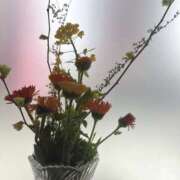 ヒメ日記 2026/03/18 11:00 投稿 南 セクシーキャット 小田原店