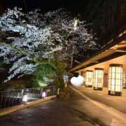 ヒメ日記 2026/03/28 08:16 投稿 南 セクシーキャット 小田原店