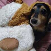 ヒメ日記 2024/12/11 12:27 投稿 しょうこ 熟女デリヘル倶楽部