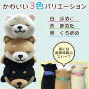 ヒメ日記 2025/04/29 12:01 投稿 しょうこ 熟女デリヘル倶楽部