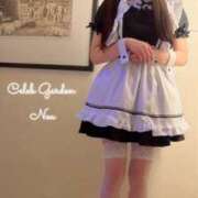 ヒメ日記 2025/02/06 13:04 投稿 ノア Celeb Garden(セレブガーデン)