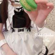 ヒメ日記 2025/02/14 19:48 投稿 ノア Celeb Garden(セレブガーデン)