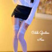 ヒメ日記 2025/02/20 12:48 投稿 ノア Celeb Garden(セレブガーデン)