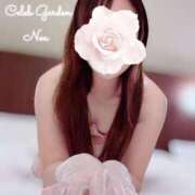 ヒメ日記 2025/02/22 21:04 投稿 ノア Celeb Garden(セレブガーデン)