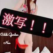 ヒメ日記 2025/05/15 20:34 投稿 ノア Celeb Garden(セレブガーデン)