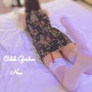 ヒメ日記 2025/06/13 08:18 投稿 ノア Celeb Garden(セレブガーデン)