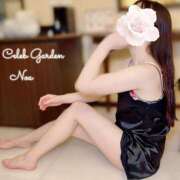 ヒメ日記 2025/06/14 08:42 投稿 ノア Celeb Garden(セレブガーデン)