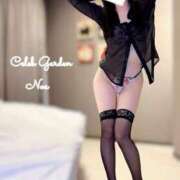 ヒメ日記 2025/08/19 08:18 投稿 ノア Celeb Garden(セレブガーデン)