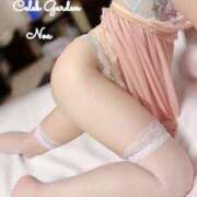 ヒメ日記 2025/11/16 12:33 投稿 ノア Celeb Garden(セレブガーデン)