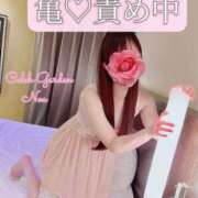 ヒメ日記 2026/04/16 17:18 投稿 ノア Celeb Garden(セレブガーデン)