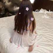 ヒメ日記 2026/04/17 10:18 投稿 ノア Celeb Garden(セレブガーデン)