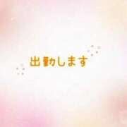 ヒメ日記 2025/01/27 06:26 投稿 なな [優良人妻店]セレブスタイル（山口～防府～萩）