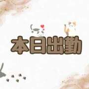 ヒメ日記 2025/02/28 10:00 投稿 なな [優良人妻店]セレブスタイル（山口～防府～萩）