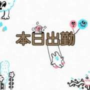 ヒメ日記 2025/03/17 10:02 投稿 なな [優良人妻店]セレブスタイル（山口～防府～萩）