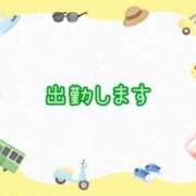 ヒメ日記 2025/05/31 10:20 投稿 なな [優良人妻店]セレブスタイル（山口～防府～萩）