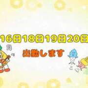 ヒメ日記 2025/08/16 08:52 投稿 なな [優良人妻店]セレブスタイル（山口～防府～萩）