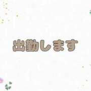 ヒメ日記 2025/08/18 09:16 投稿 なな [優良人妻店]セレブスタイル（山口～防府～萩）