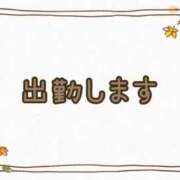 ヒメ日記 2025/11/08 08:46 投稿 なな [優良人妻店]セレブスタイル（山口～防府～萩）