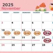 ヒメ日記 2025/11/09 21:00 投稿 なな [優良人妻店]セレブスタイル（山口～防府～萩）