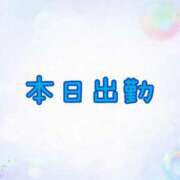 ヒメ日記 2025/11/12 09:12 投稿 なな [優良人妻店]セレブスタイル（山口～防府～萩）