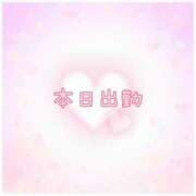 ヒメ日記 2025/11/28 08:54 投稿 なな [優良人妻店]セレブスタイル（山口～防府～萩）