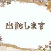 ヒメ日記 2025/12/01 08:46 投稿 なな [優良人妻店]セレブスタイル（山口～防府～萩）