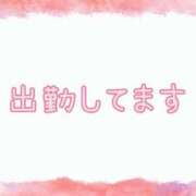 ヒメ日記 2026/01/29 09:54 投稿 なな [優良人妻店]セレブスタイル（山口～防府～萩）