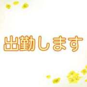 ヒメ日記 2026/08/26 08:52 投稿 なな [優良人妻店]セレブスタイル（山口～防府～萩）